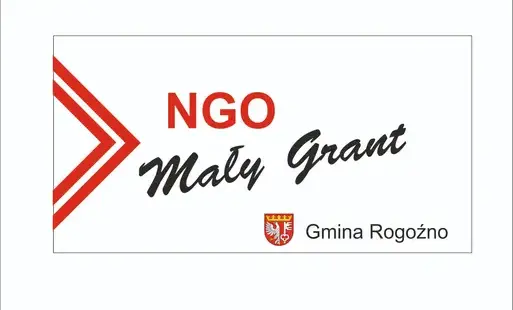 Małe granty w Rogoźnie: 7 tys. zł na biwakowe atrakcje dla dzieci i młodzieży