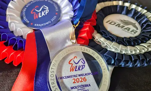 Młodzi woltyżerzy z Ryczywołu zdobywają laury na Mistrzostwach Wielkopolski
