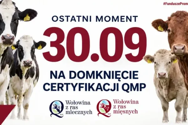 Certyfikat QMP: zostały tylko trzy dni na jego uzyskanie
