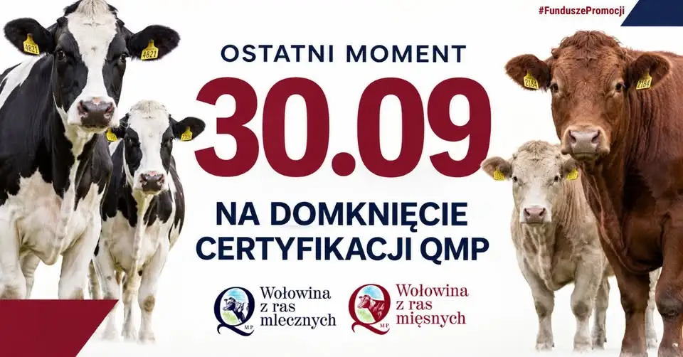 Certyfikat QMP: zostały tylko trzy dni na jego uzyskanie